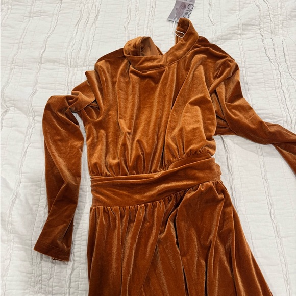Velvet Long Sleeve Half Turtleneck Maxi Dress in a gorgeous copper color - Picture 3 of 4